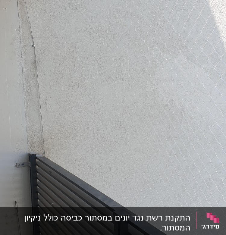 רשת מתוחה על קיר למניעת כניסת יונים
